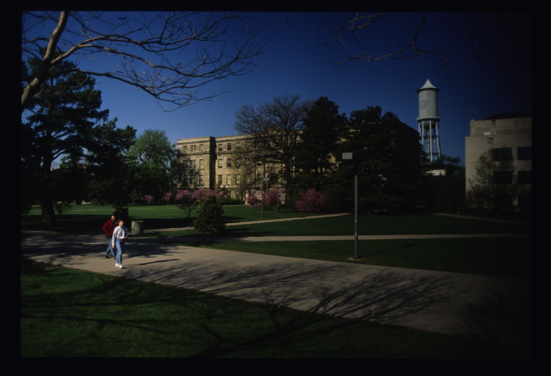 Library Quad