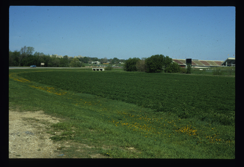 South 16th Street Pasture