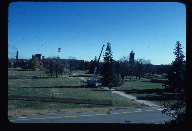 Central Campus landscape