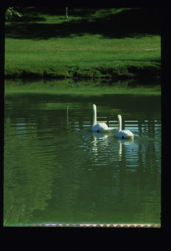 Central Campus landscape