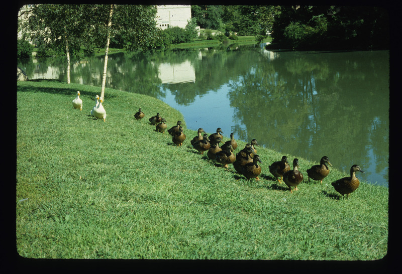 Central Campus landscape