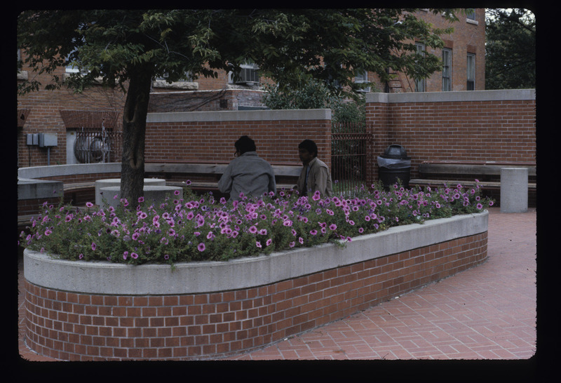 Planters/Annual Beds