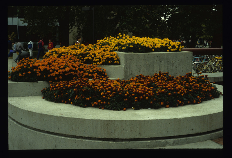 Planters/Annual Beds