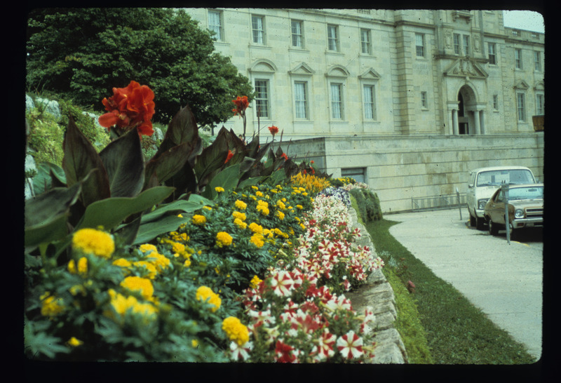 Planters/Annual Beds