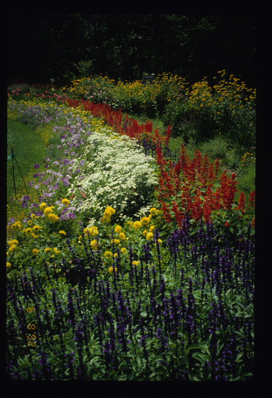 Planters/Annual Beds