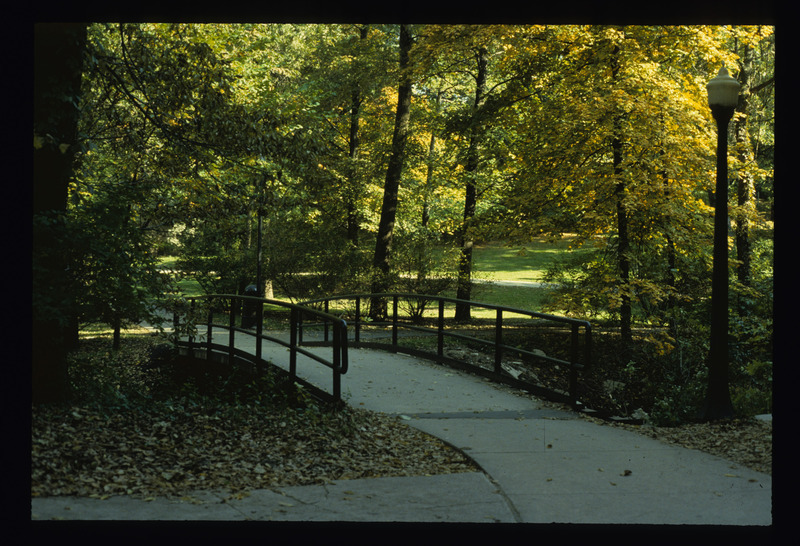 College Creek Phase I--existing conditions