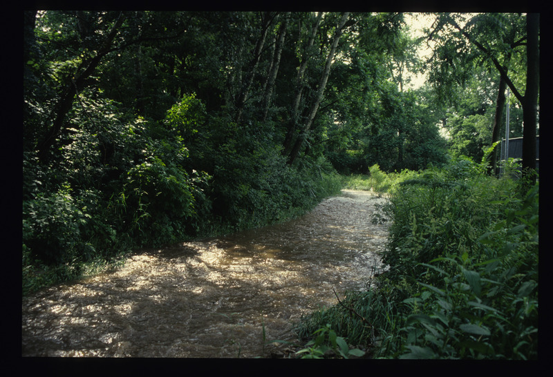 College Creek Phase I--existing conditions