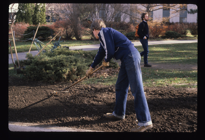 Seeding and lawn care