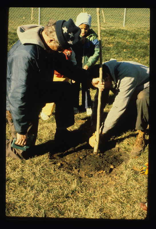Tree care and removal
