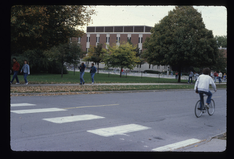 Cowpaths presentation
