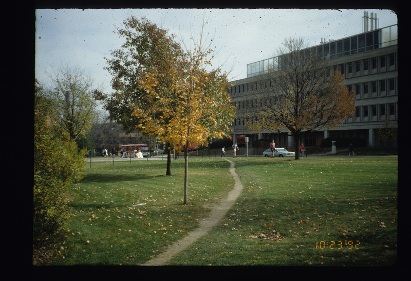 Cowpaths presentation