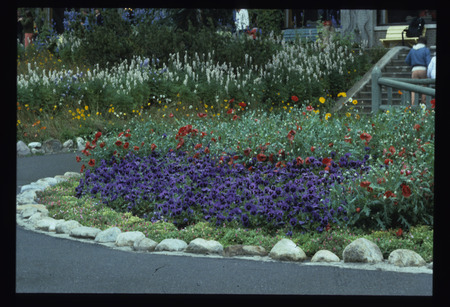Old Horticultural Gardens