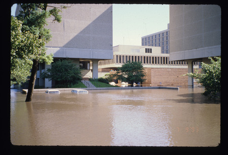 Maple, Willow, Larch Halls