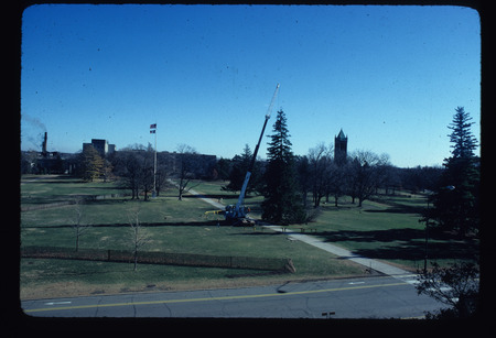 Central Campus landscape