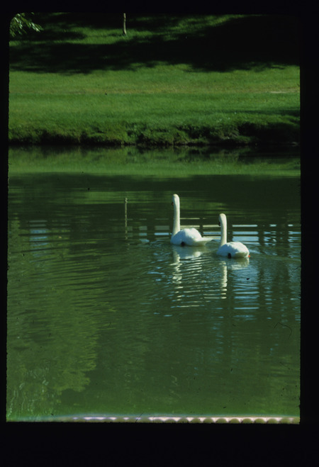 Central Campus landscape