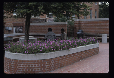 Planters/Annual Beds