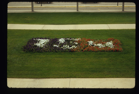 Planters/Annual Beds