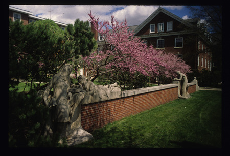 Planters/Annual Beds