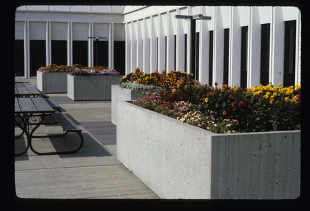 Planters/Annual Beds
