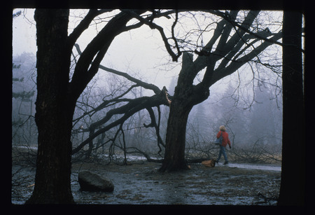 Ice storm, 1992