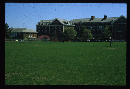 Cowpaths presentation