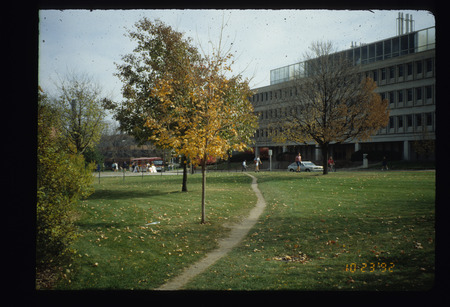 Cowpaths presentation