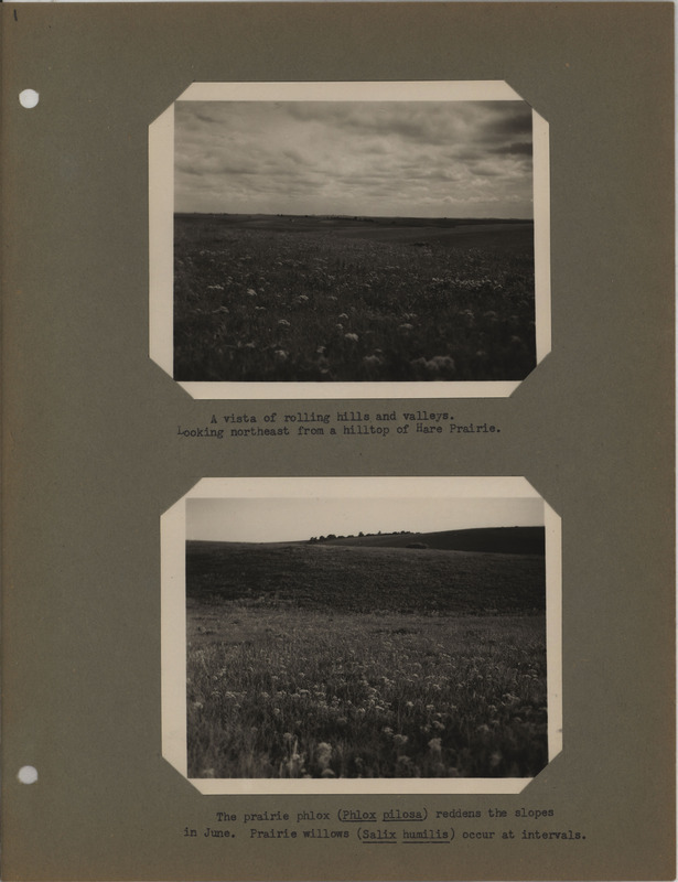 Mounted photographs with captions of geology and botanical features of prairies found in the State of Iowa.