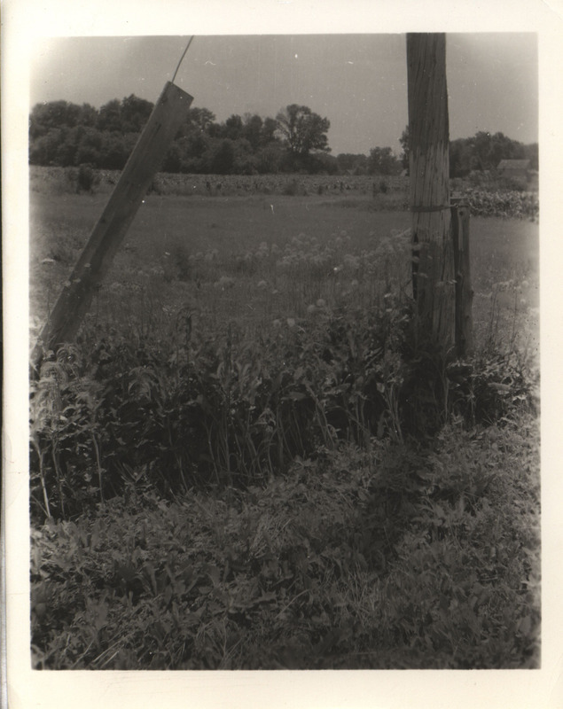 Photograph of the edge of a field with two wooden posts, taken by Ada Hayden.