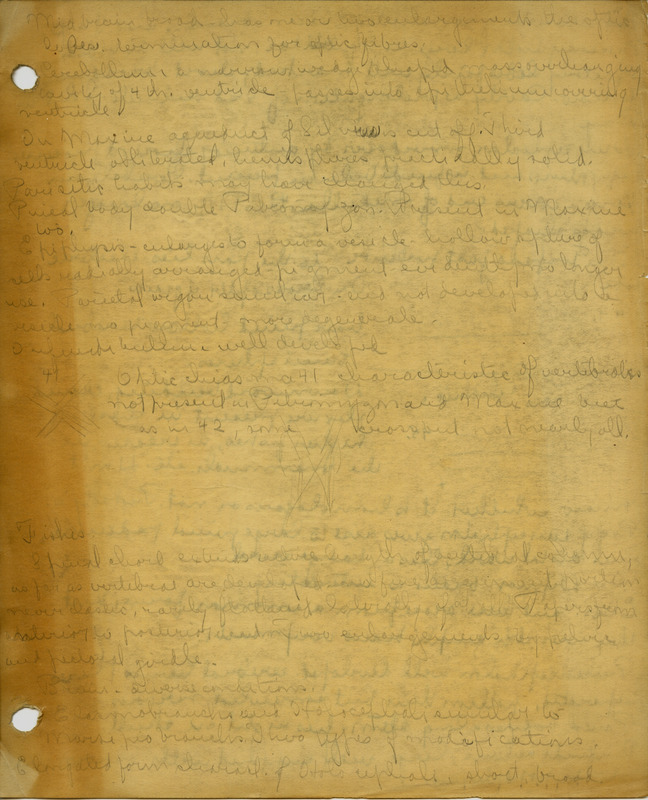 Handwritten biology course notes by Hortense Butler Heywood. Includes illustrations throughout.