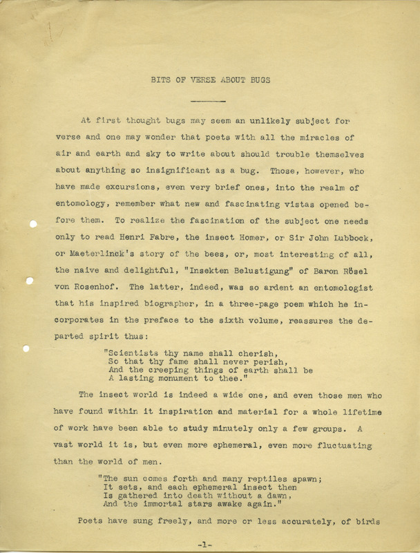 A typed essay about the poetry of insects.