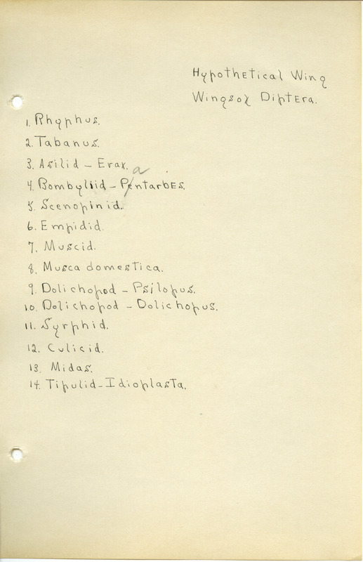 List of fourteen items for hypothetical wing of Wingsox Diptera.