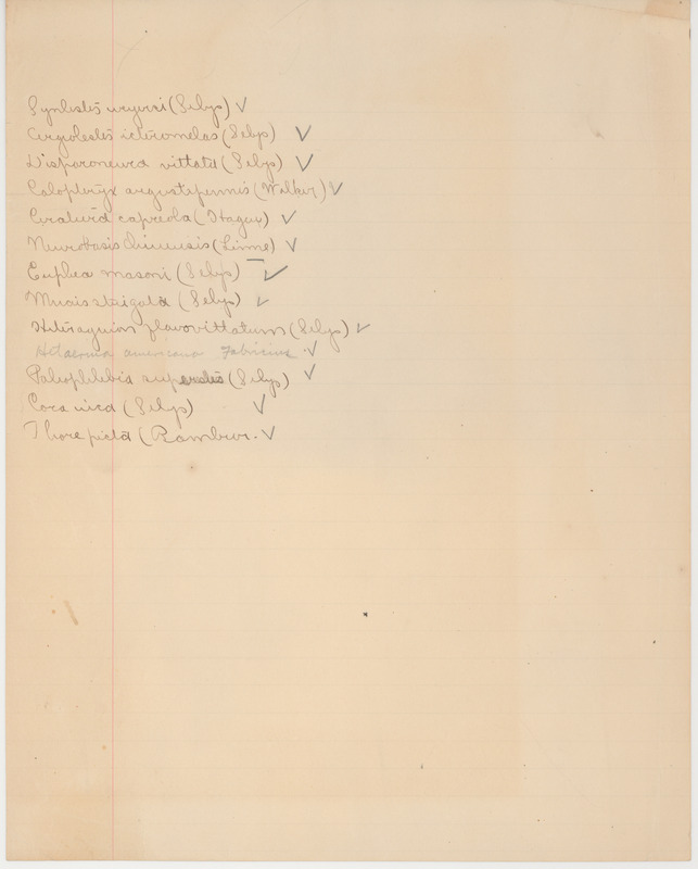 Lists scientific names of dragonfly parts followed by main authors of information about them.