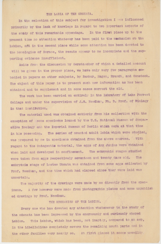 Draft and transcript of paper discussing the Labia found in Odonata.