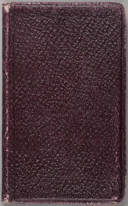 Most of this notebook consists of field notes from observing insects, some at Wolf Lake, Evanston, and Pasadena, California. Also included are minutes from a Chicago City Council meeting, a list of relatives of John Butler, notes from a De Vries lecture on heredity, and a short poem on unrequited love. The back of the book notes "Wish I had a chicken salad."