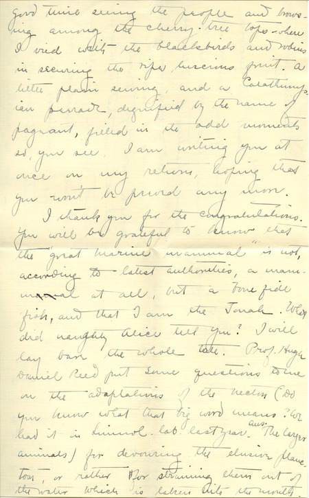 Letter from Emmeline Moore, The Circle, Ithaca, New York to Hortense Butler. Emmeline writes about her work and the latest news of her colleagues. Includes envelope. On the back of the envelope is a note about Alice and concern for the letter getting lost in the mail.