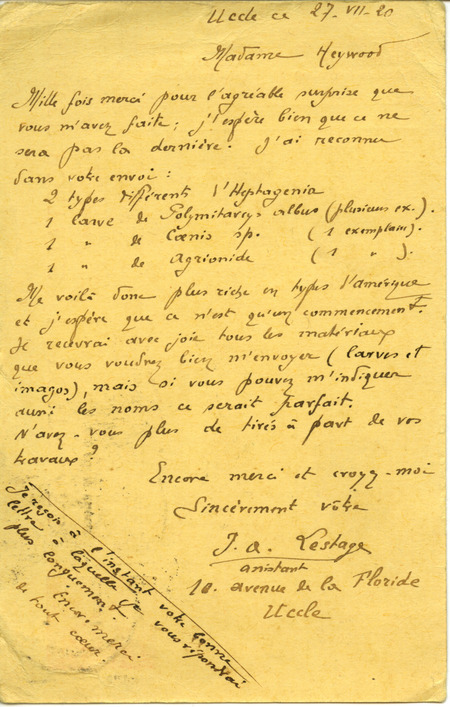 Postcard from J. A. Lestage, Assistant, Uccle, Belgium to Hortense Heywood, Webster City, Iowa. J. A. Lestage is thanking Hortense for the larvae and replying that he has identified two types of Hepagenia. He writes he would be happy to receive more larvae and imago samples along with their names and drawings.