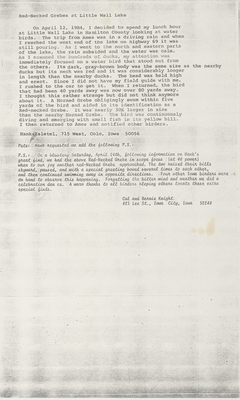 Letter from Hank Zaletel regarding Red-necked Grebes at Little Wall Lake. The letter details the observation and identification of a Red-necked Grebe in comparison to a nearby Horned Grebe. A post script from Calvin A. Knight and Bernie Knight adds additional information on the sighting of two Red-necked Grebes at the same location.