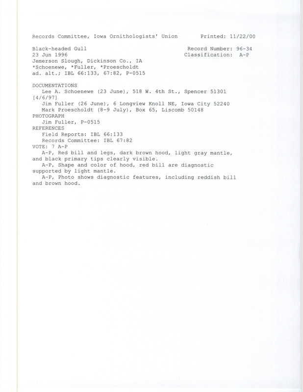 Records Committee review for a Black-headed Gull at Jemmerson Slough in Dickinson County, IA on June 23, 1996. Includes a record review document with votes, a photograph, and three documentation forms submitted to the committee.