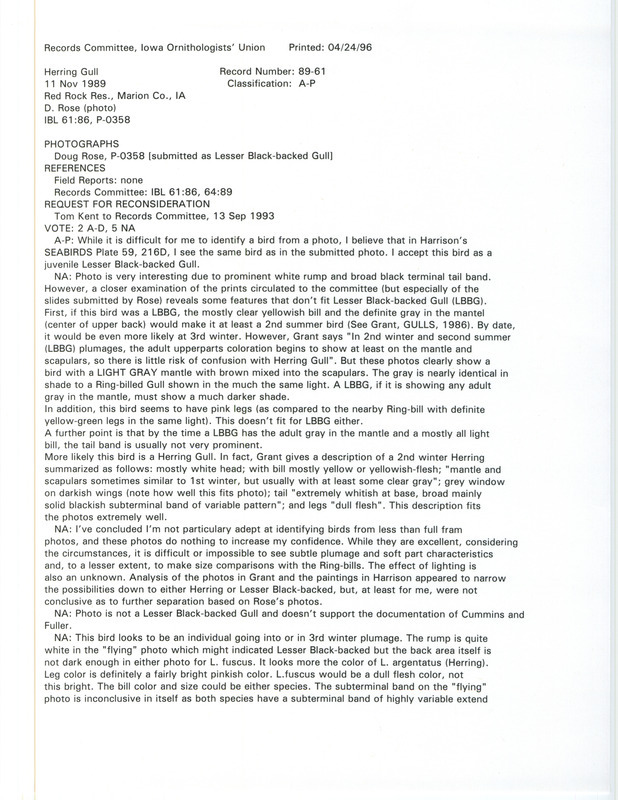 Records Committee review for Herring Gulls at Red Rock Reservoir in Marion County, IA on November 11, 1989. Includes a record review document with votes, a request for reconsideration, a photocopy of two photographs, and two photographs of the gulls by Doug Rose.