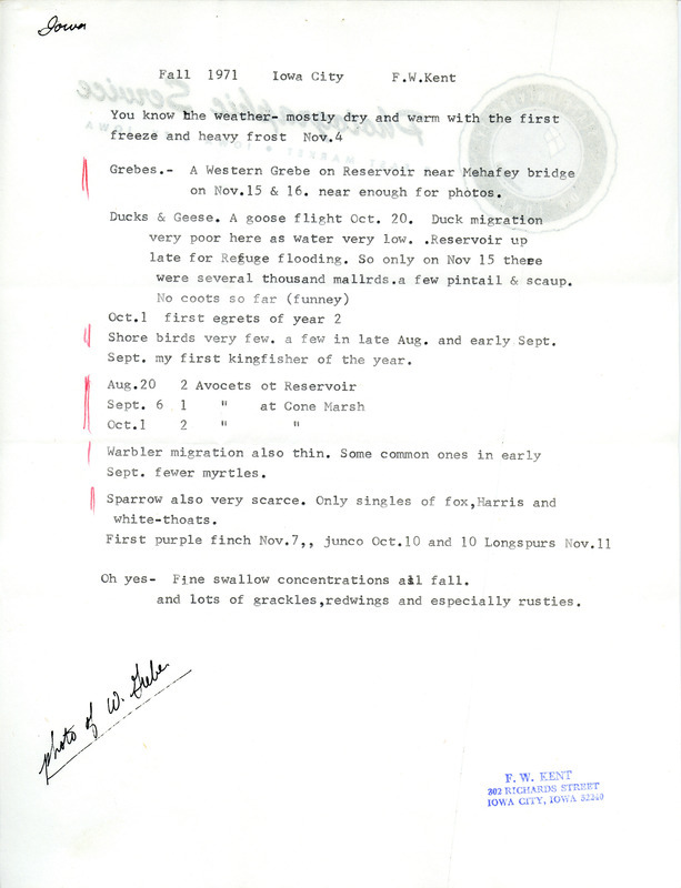 Frederick W. Kent provided field notes of birds seen near Iowa City in fall of 1971. Some items are highlighted with vertical red lines on the left side. It was typed on the back of stationery from the State University of Iowa Photographic Service. This item was used as supporting documentation for the Iowa Ornithologists' Union Quarterly field report of fall 1971.