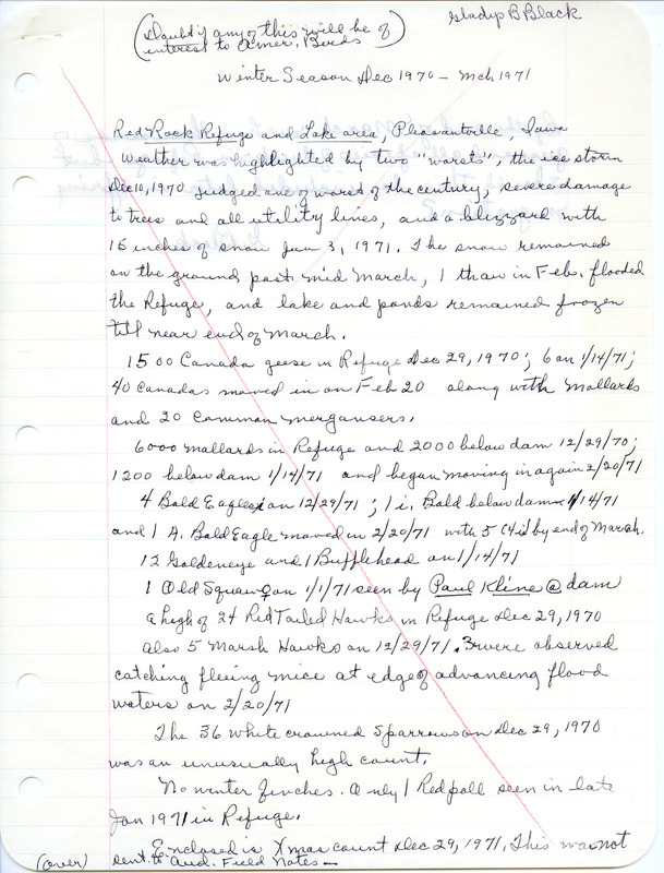 Report from Gladys Black was regarding birds sighted at the Red Rock Refuge and Lake Red Rock near Pleasantville, Iowa, during the winter season, December 1970-March 1971. This item was used as supporting documentation for the Iowa Ornithologists' Union Quarterly field report of winter 1970-1971.