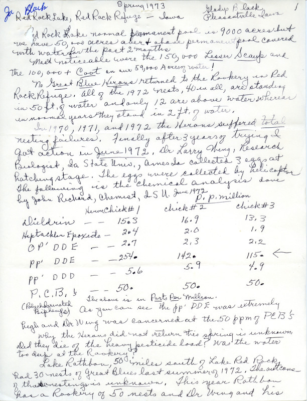 Report from Gladys Black regarding birds sighted at Red Rock Lake and the Red Rock Refuge during the spring of 1973. Much of her report was about nesting failures of Great Blue Herons and investigation into whether this was caused by pesticides. This item was used as supporting documentation for the Iowa Ornithologists' Union Quarterly field report of spring 1973.