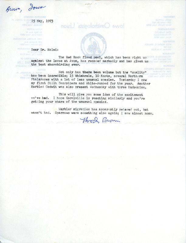 Letter from Woodward H. Brown to Nicholas S. Halmi reporting on shorebirds seen after the Red Rock flood pool receded. This item was used as supporting documentation for the Iowa Ornithologists' Union Quarterly field report of spring 1973.