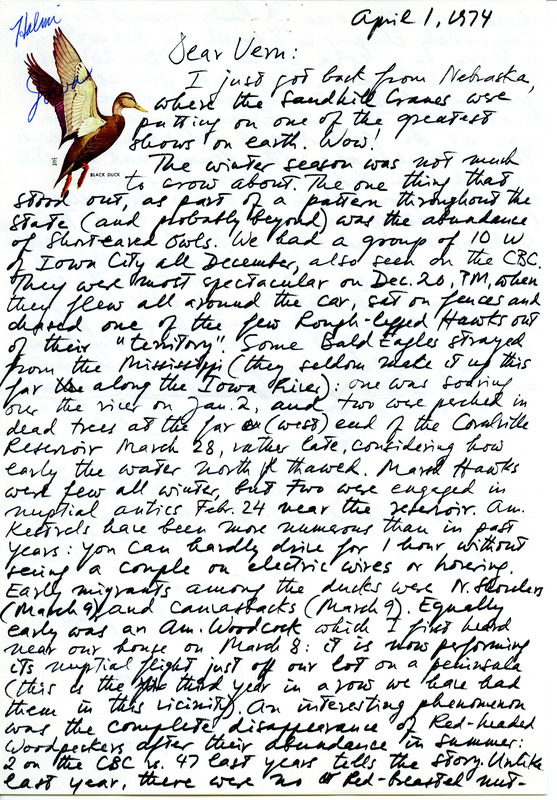 Letter from Nicholas S. Halmi to Vernon M. Kleen reporting birds sighted in the Iowa City area during the 1973-1974 winter season. Halmi describes interactions between hawks and owls, the amount of various species present, and birds seen during the Christmas Bird County (CBC). This item was used as supporting documentation for the Iowa Ornithologists' Union Quarterly field report of winter 1973-1974.