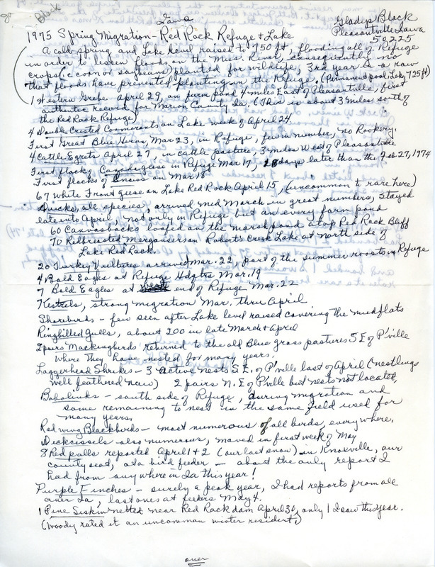 Birds sighted during the 1975 spring migration at Red Rock Refuge and Lake in Iowa were reported by Gladys Black. At the end, Black noted three rare bird species reported in other locations: a Purple Gallinule in Ottumwa, two White-faced Ibis at Black Hawk Lake, Sac County, and a Swainson's Hawk banded in Ankeny. This item was used as supporting documentation for the Iowa Ornithologists' Union Quarterly field report of spring 1975.