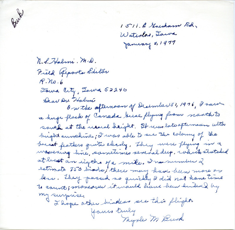 Report of a flock of Canada Geese in Waterloo, Iowa contributed by Myrle M. Burk in a letter to Nicholas S. Halmi. This item was used as supporting documentation for the Iowa Ornithologists' Union Quarterly field report of winter, 1976-1977.