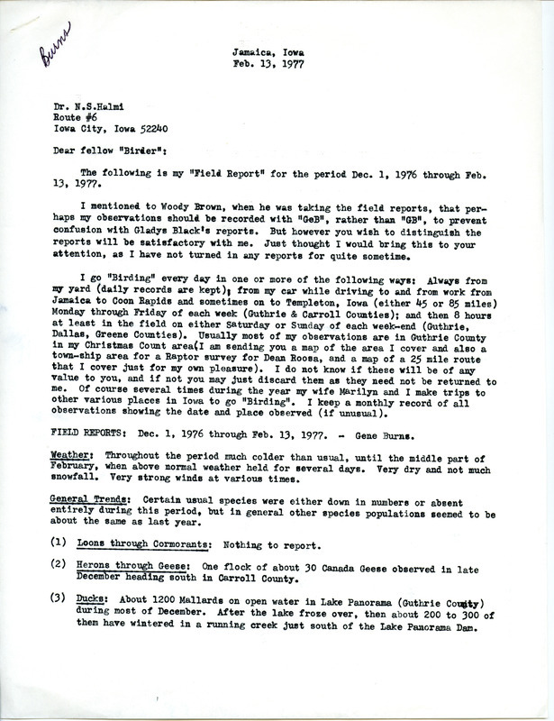 Bird sightings contributed by Gene Burns in a letter to Nicholas S. Halmi. This item was used as supporting documentation for the Iowa Ornithologists' Union Quarterly field report of winter 1976-1977.