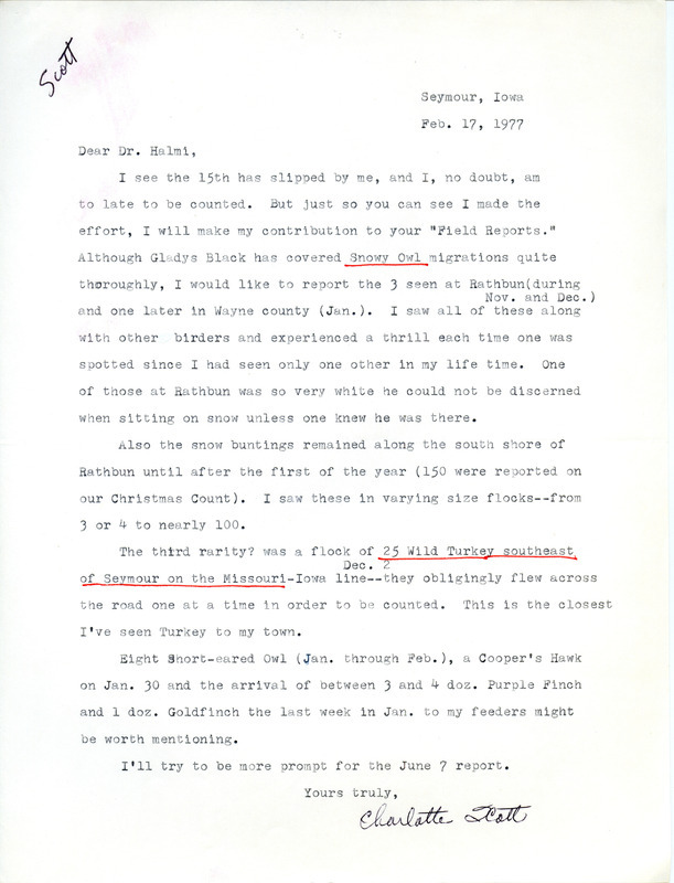 Bird sightings contributed by Charlotte Scott in a letter to Nicholas S. Halmi, February 17, 1977. This item was used as supporting documentation for the Iowa Ornithologists' Union Quarterly field report of winter 1976-1977.