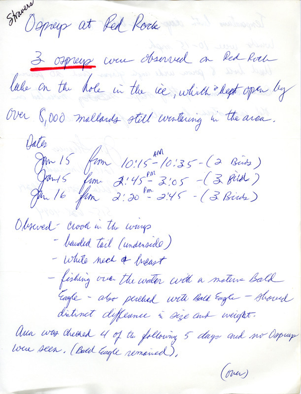 Bird sighting of Ospreys was contributed by Jon Stravers. This item was used as supporting documentation for the Iowa Ornithologists' Union Quarterly field report of winter 1976-1977.