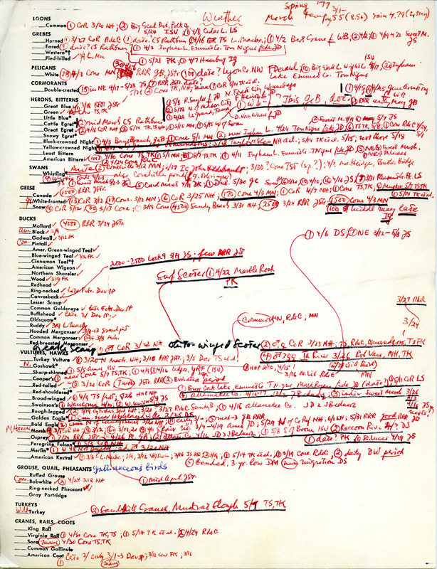 Bird sightings checklist. This item was used as supporting documentation for the Iowa Ornithologists' Union's Quarterly Field Report of spring 1977. Includes handwritten annotations with locations and weather information.